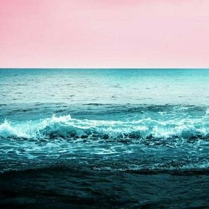 Meet your Posher, Dakota